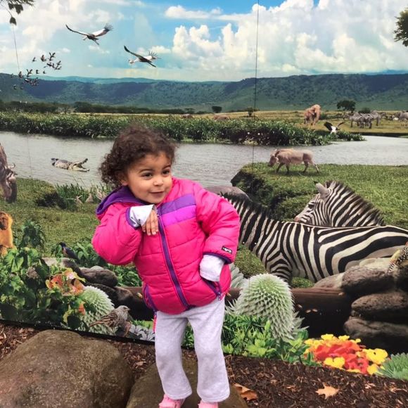 Meet your Posher, Redell - Picture 1 of 1